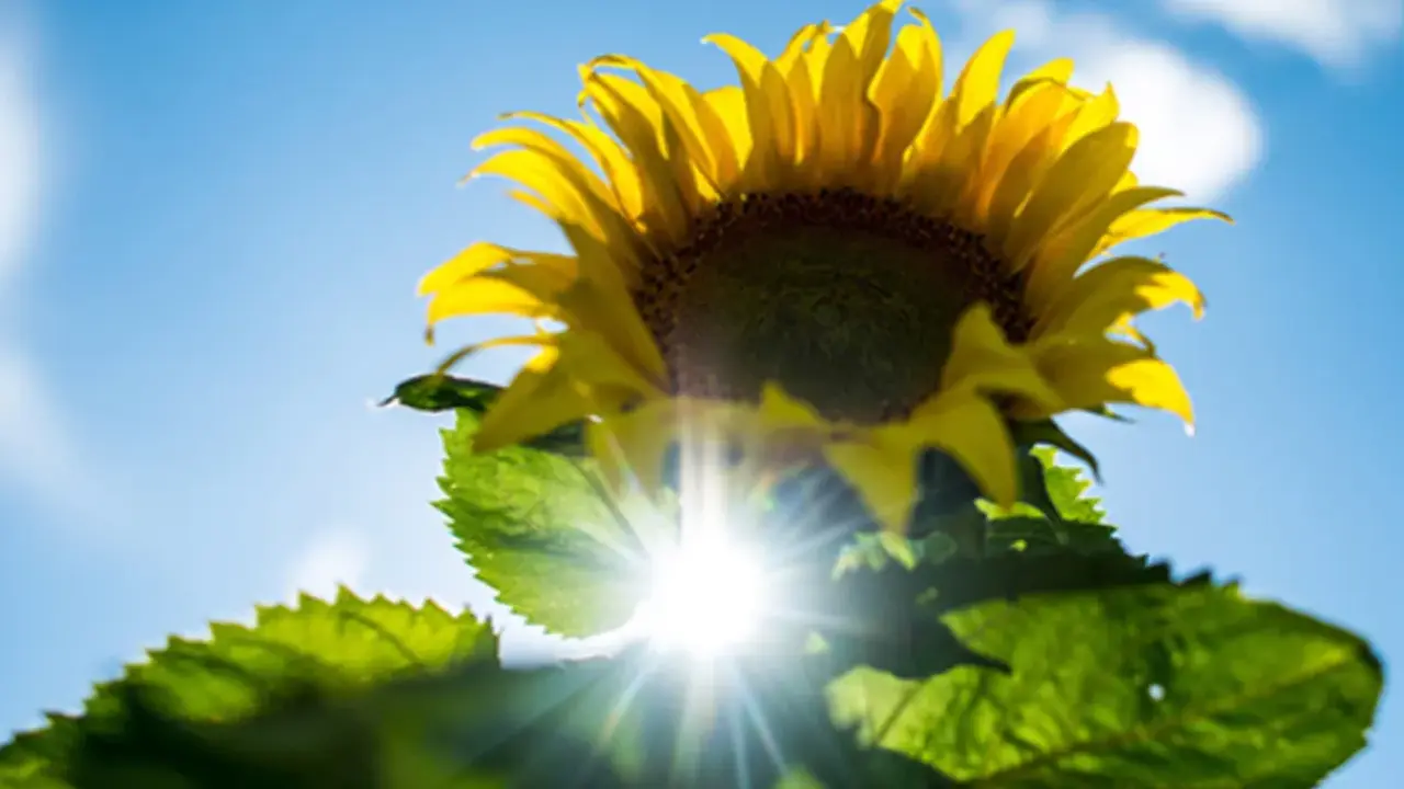 حالة الطقس المتوقعة في جميع المناطق خلال يوم غد الثلاثاء